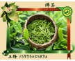 长期供应绿茶香味纳米胶囊